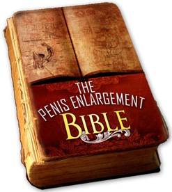 pebible download